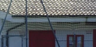 Atletico Monteporzio (calcio, Prima cat.), Tiberi ci crede: “Il campionato? Nulla è ancora perso”