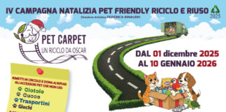 Spettacolo e Sostenibilità a 4 zampe: a Natale rimetti in circolo cucce, ciotole, giochi inutilizzati e aiuta i rifugi con la campagna “Pet Carpet: Un riciclo da Oscar”.
