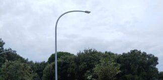 Frascati, resoconto 2025 sul Verde Pubblico