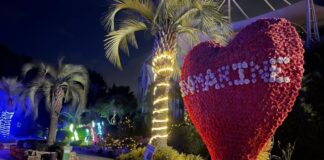 “La seconda vita dei giocattoli” a Zoomarine