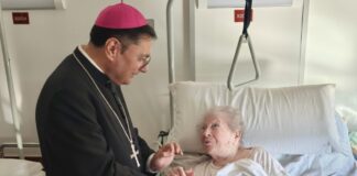 Albano, il messaggio di Natale del Vescovo Viva