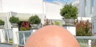 Capena, Vincenzo Tosca nuovo coordinatore di Noi Moderati