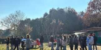 A Roma sfilata natalizia per cani