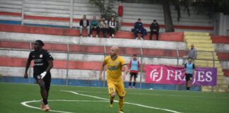 Albalonga (calcio, serie D), Sirignano: “Peccato per il pareggio con la Flaminia Civitacastellana”