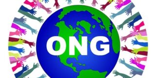 ONG: quali sono gli enti di riferimento in Italia?