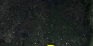 Villa Sciarra, Forza Italia e Io Amo Frascati attaccano ancora la Giunta Sbardella Villa Sciarra, foto tratta dal gruppo social "Frascati Segnalazioni"