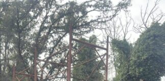 Forza Italia Frascati, “meno propaganda, più verità”