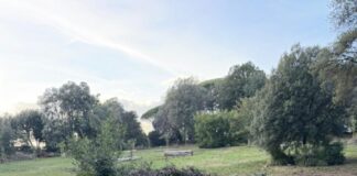 Forza Italia e Io Amo Frascati “Villa Sciarra: bene l’intervento concluso, ma…”