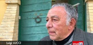 Innovazioni di prodotto e di processo in olivicoltura