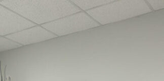 Paolo Borelli in lista con Ferrarini, il centrodestra cresce e si presenta in testa ai pronostici elettorali ferrarinipaoloborelli