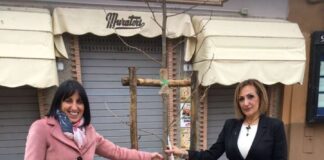 Pro Italia Castelli Romani: donato e piantumato un platano alla città di Frascati