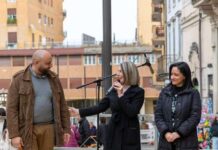 Tutto pronto per la trentesima edizione della Festa delle Camelie ercolifelci