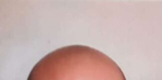 Italia dei Diritti De Pierro, Carlo Folcarelli nuovo responsabile per l’Area dei Castelli Romani