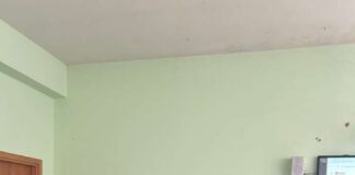 Lanuvio: al via nel plesso “Marianna Dionigi” gli incontri contro il bullismo