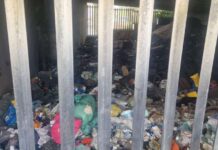 Forza Italia Frascati “Degrado sotto il Ponte della Tuscolana: competenza diretta del Comune di Frascati