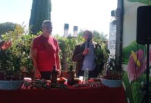 Ncr a “Pianta un peperoncino su un balcone”