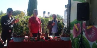 Ncr a “Pianta un peperoncino su un balcone”