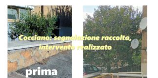 Cocciano, Pro Italia “segnalazione raccolta, intervento realizzato”