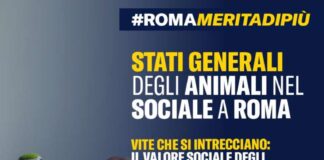 Fratelli d’Italia Roma “al via gli “Stati Generali del Benessere Animale nel Sociale”