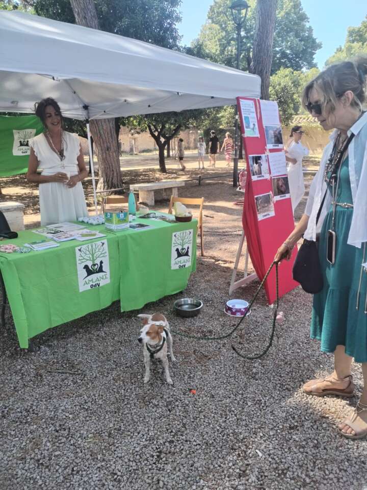 adozioni2