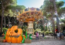 Ad Halloween il sangue fa paura, nella realtà è vita!